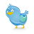 tweet bird