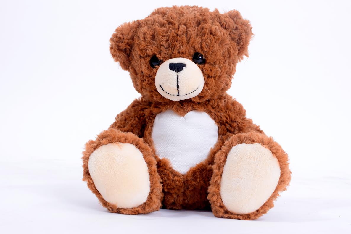 cuddlebuddys teddy bear